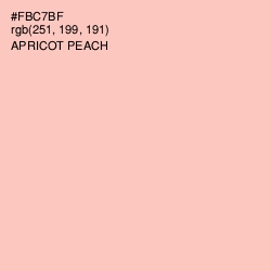 #FBC7BF - Apricot Peach Color Image